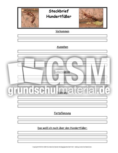 Hundertfüßer-Tiersteckbriefvorlage.pdf